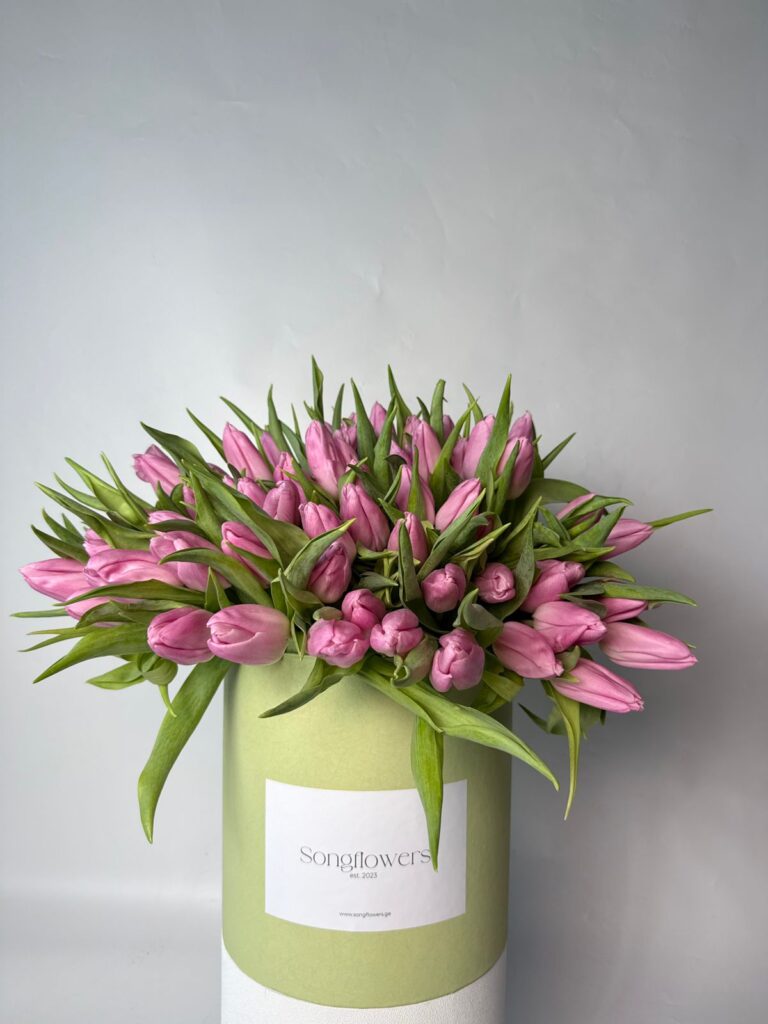 ტიტები ყუთში